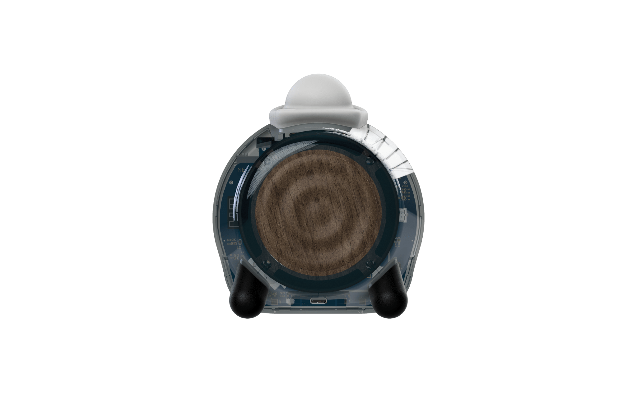 Raychel NODBOT - NETVERSE